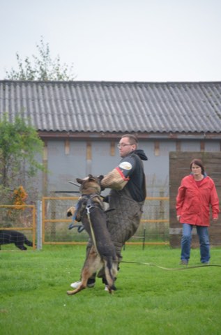 Foto 27 vom Vereinsleben des HSV Reichenbach, 2016