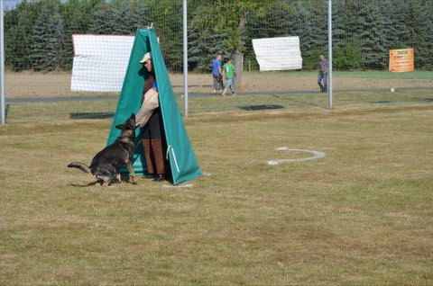 Foto 9 von LGA 2015, HSV Reichenbach