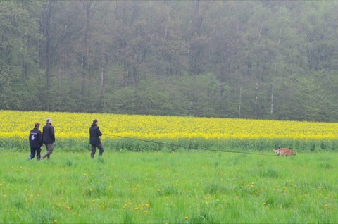 Foto 1 von Vereinsleben 2015–2017, HSV Reichenbach