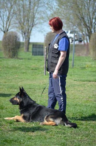 Foto 2 von Frühjahrsprüfung 2019, HSV Reichenbach